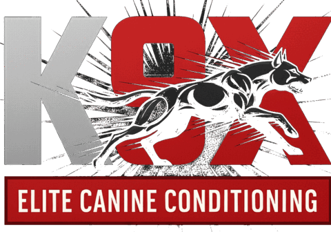K9X Elite Canine Conditioning